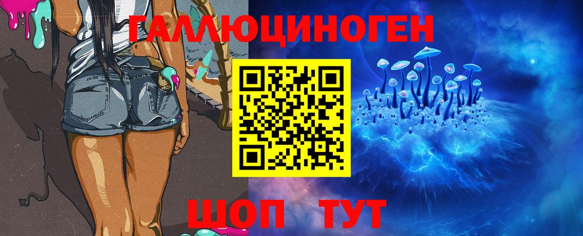 Галлюциногенные грибы мухоморы  Вход с VPN  Галлюциногенные грибы прущие грибы  Кандалакша 